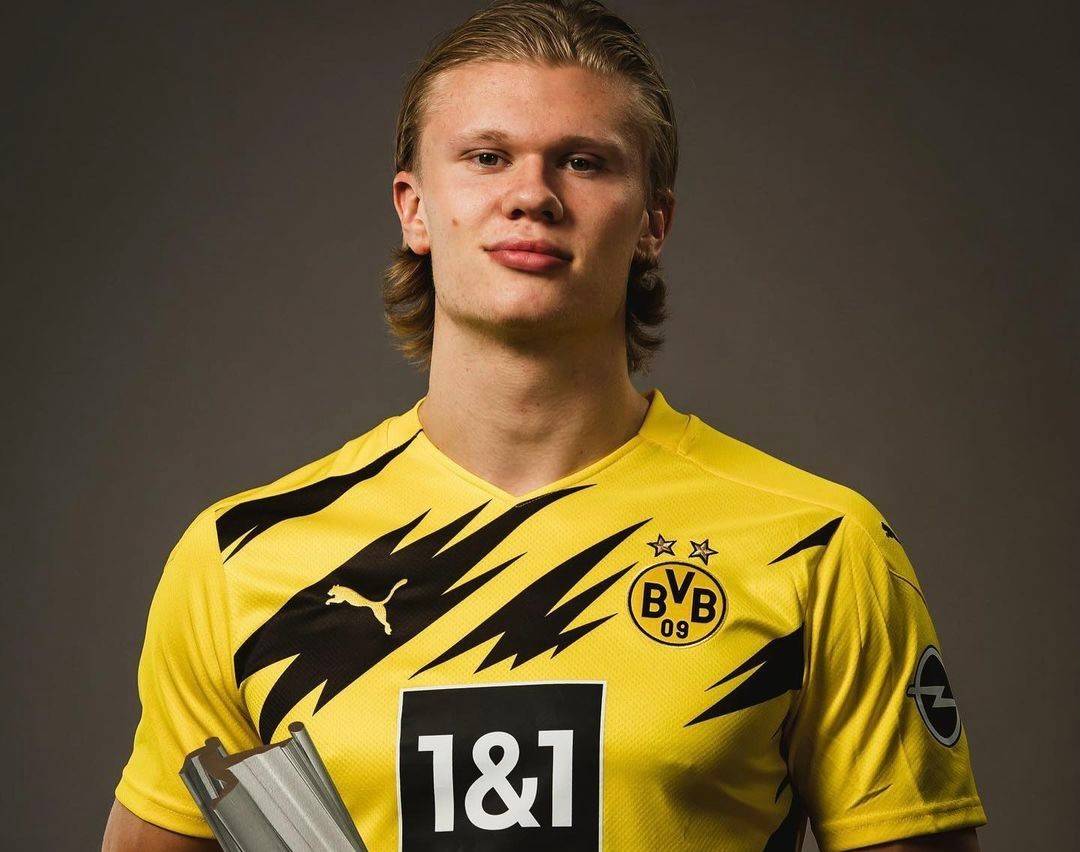 目标明确 目标明确